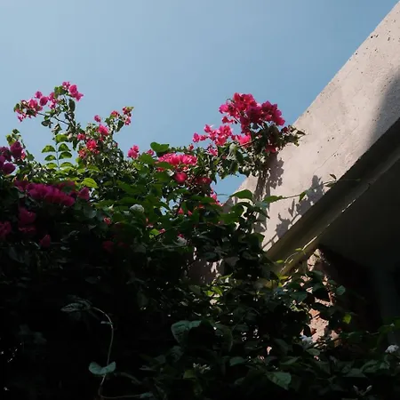 Nok Luxury Colonial 6br With Pool Staff & Breakfast At Getsemani *