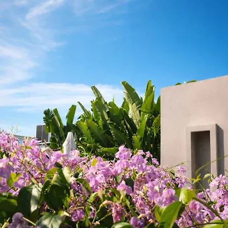 Nok Luxury Colonial 6br With Pool Staff & Breakfast At Getsemani Сasa de vacaciones