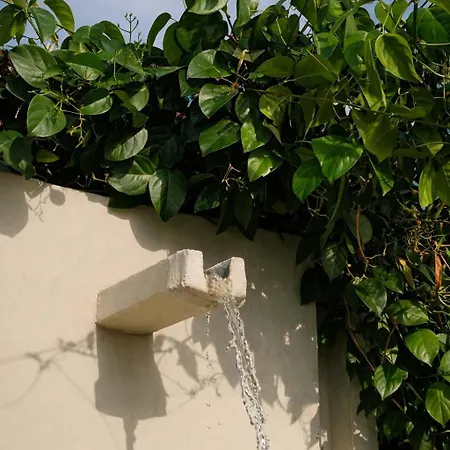 Nok Luxury Colonial 6br With Pool Staff & Breakfast At Getsemani