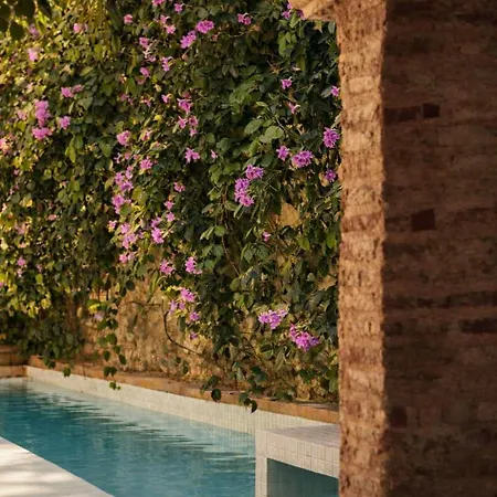 Nok Luxury Colonial 6br With Pool Staff & Breakfast At Getsemani Holiday home Cartagena