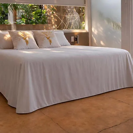 Nok Luxury Colonial 6br With Pool Staff & Breakfast At Getsemani Holiday home